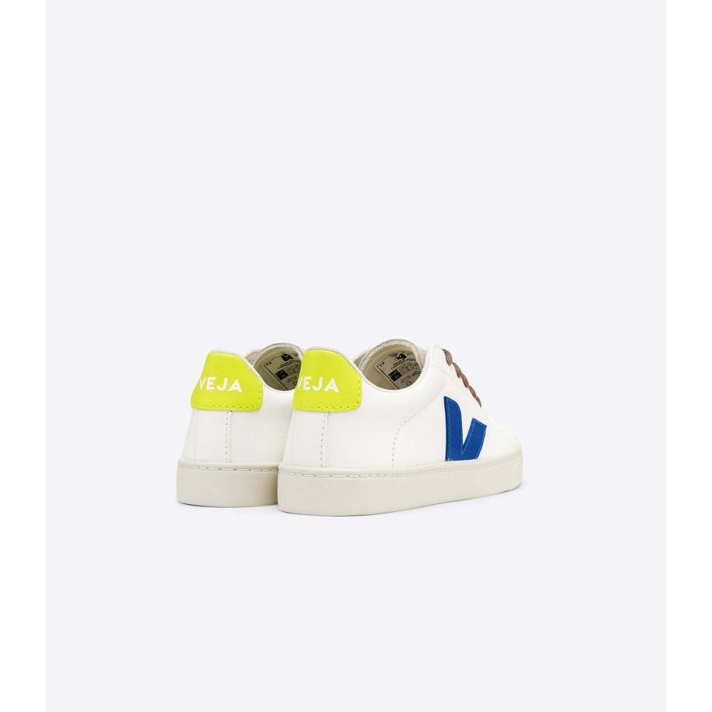 Veja ESPLAR LACES CHROMEFREE Kids' Sneakers White/Blue | NZ 831FDN